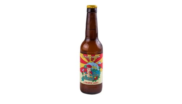 Blame the sun 330ml